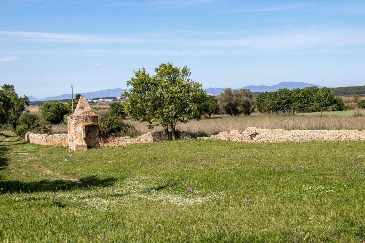 Ocells De Montgri Apartamento Rural En El Emporda Sobrestany Exterior photo